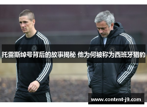 托雷斯绰号背后的故事揭秘 他为何被称为西班牙猎豹