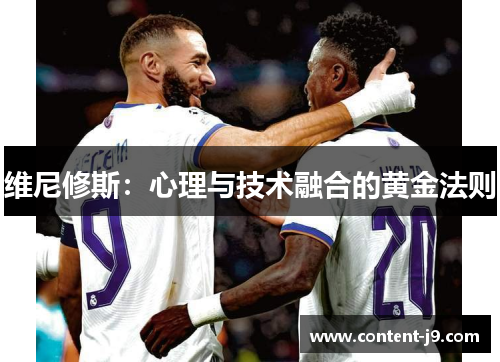 维尼修斯：心理与技术融合的黄金法则