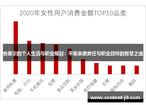 费基尔的个人生活与职业规划：平衡家庭责任与职业目标的智慧之道