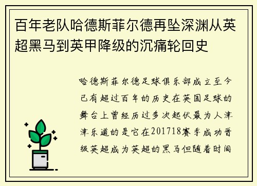 百年老队哈德斯菲尔德再坠深渊从英超黑马到英甲降级的沉痛轮回史